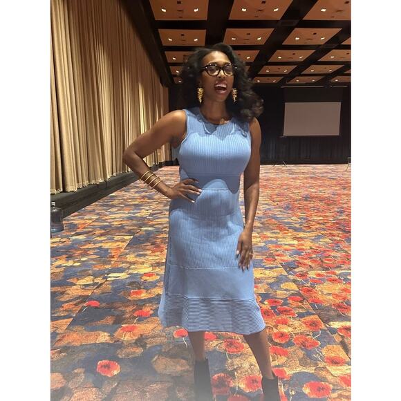 JASON WU Women's Blue Knit Sleeveless Ribbed Texture Crewneck Dress Size Large - Picture 8 of 8